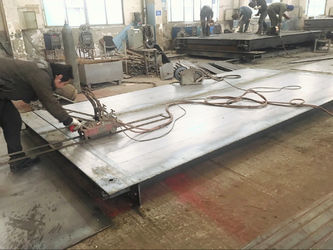 Changzhou Skyerscale Co.,Limited factory production line