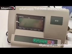 Digital Weight Indicator