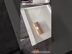 Floor Weighing Scales