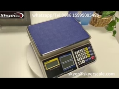 30kg 1g Digital Weight Scale With LCD Backlight Display