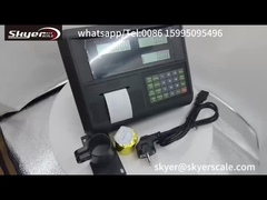 Digital Weight Indicator