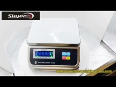 Digital Electronic Weight Scale IP68 Waterproof Weighing Waterproof Scale