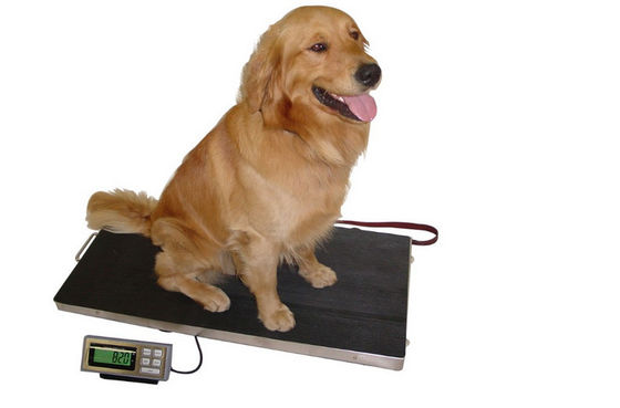 Stainless Steel 304 Base Platter 150kg Dog Weighing Scales