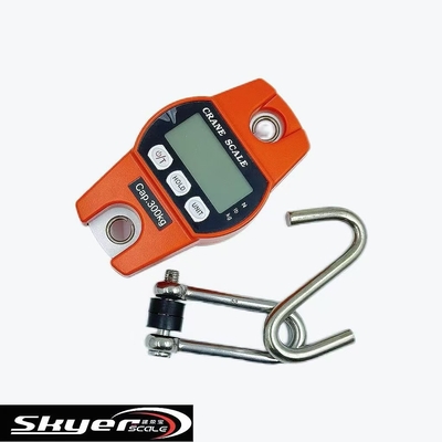 quality  300kg Digital Crane Scale with LED LCD Display factory