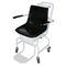 200kg Digital Display Electronic Chair Weighing Scales
