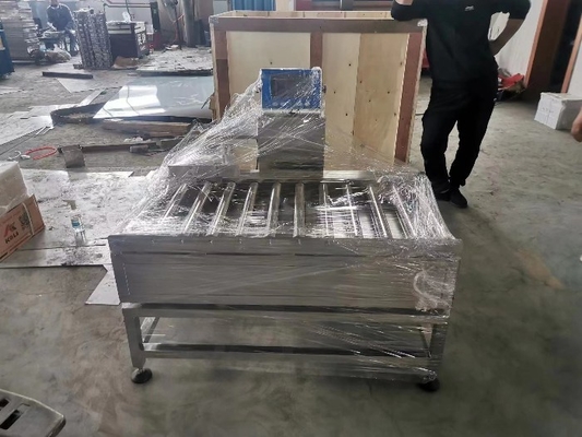 High Precision Optional Static Roller Checkweigher Scales For Food/Commercial