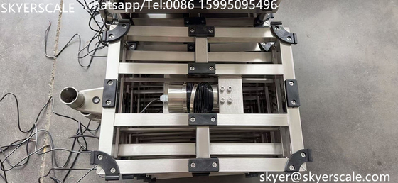 100kg Platform Bench Weight Scale 30x40cm