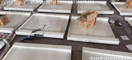 Medical Hospital Dedicated 800x800mm  250kg Wheelchair Scale