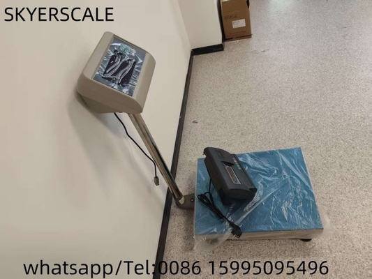 Factory Price Calibration Digital Bench Scale 200kg industrial  Platform Weighing Scale