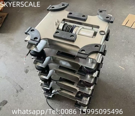 30kg Stainless Steel Electronic Bench Scale Waterproof  Platform Weighing Scale