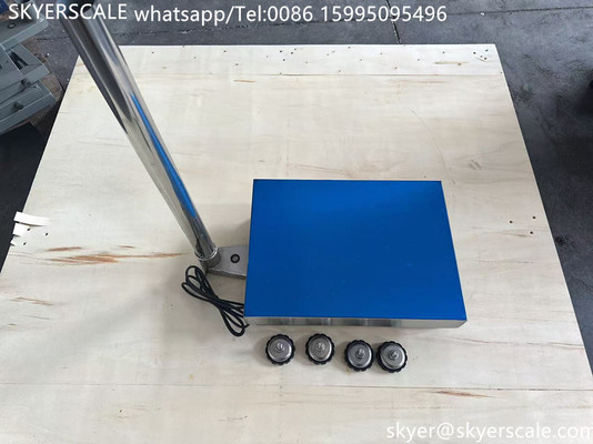 SKYERSCALE  30x40cm Platform Scale 60kg 304 Stainless Steel Platform Industrial Bench Scale