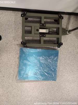 Mild Steel Industrial Class Platform Set Bench Scale 350kg 40x50cm