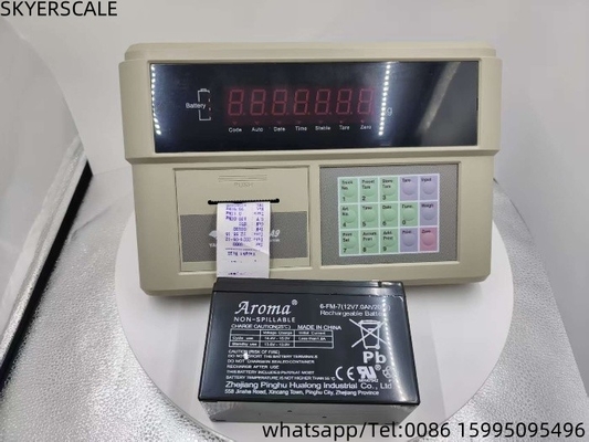 Weighing Indicator Monitor Plastic  YAOHUA XK3190-A9P Built In Printer For Truck Scale