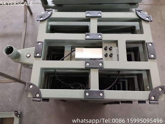 200 Kg Electric Digital Platform Bench Weighing Scale