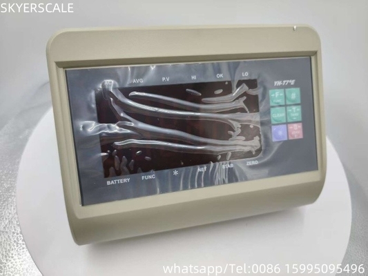 RS232 Weighing Indicator Display For Bench Scale Weighing Scale Indicators LED  XK3190 T7+E