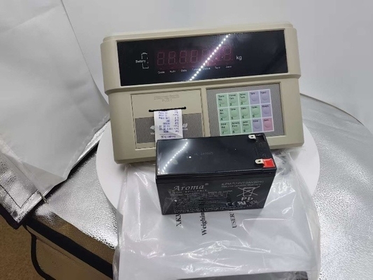 XK390 A9P Weight  Indicator For Weighing Scale With 220V Voltage