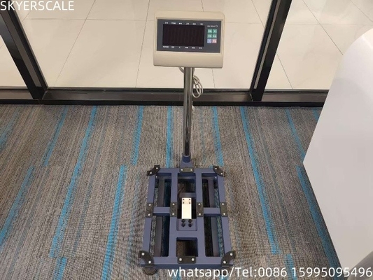 Digital Carbon Steel 45x60cm 300kg Platform Scale Bench Scale With T7+E Weighing Indicator