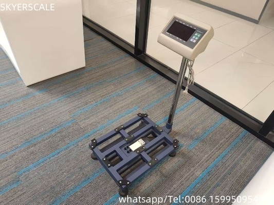 Digital Carbon Steel 45x60cm 300kg Platform Scale Bench Scale With T7+E Weighing Indicator