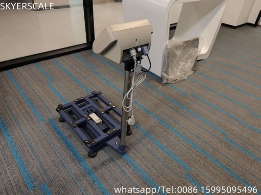 Platform Electronic Weighing Balance Economy Bench Scale 300kg