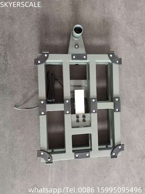 100kg 300x400mm Electronic Digital Retail Bench Scale Carbon Steel Platform LED ZEMIC Load Cell OEM ODM Customized
