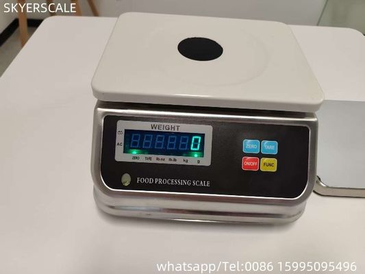 Electronic IP68 D6  Series Stainless Steel Waterproof Weight Scale Table Top Digital Weighing Scale