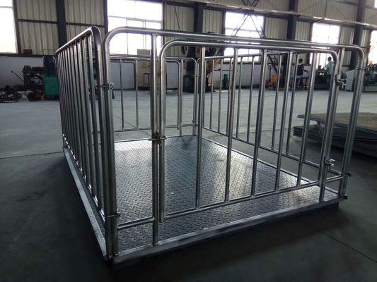 Carbon Steel 1t 2t 3t Livestock scale, cattle Weighing Scales For  horse Pig Cow Sheep with hot galvanized fence