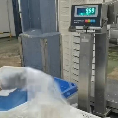 30x40cm 304 Stainless Steel Waterproof Bench Scale   100kg