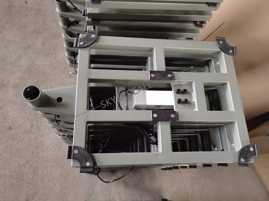 800kg TCS Electronic Platform Scale , Bench Floor Weighing Scales
