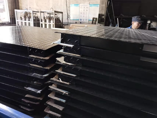 SUS304 Electronic Floor Weighing Scales for industrial